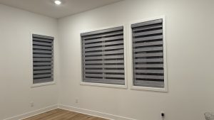 Zebra Blinds, blinds, la blinds, sunshine blinds