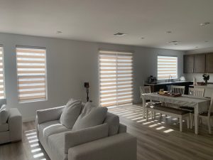 Zebra Blinds, blinds, la blinds, sunshine blinds