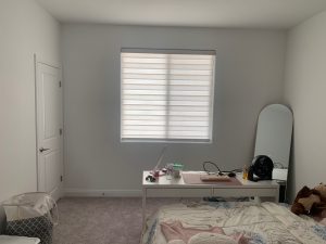 Zebra Blinds, blinds, la blinds, sunshine blinds
